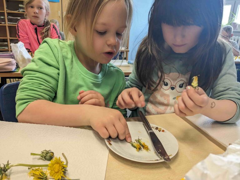 Kinder mit Löwenzahn