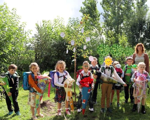 Einschulung 2025 Baum bearbeitet